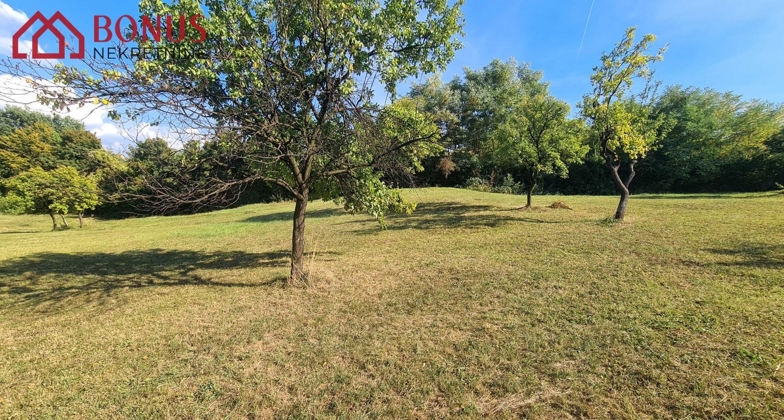 20210914_160442_optimized