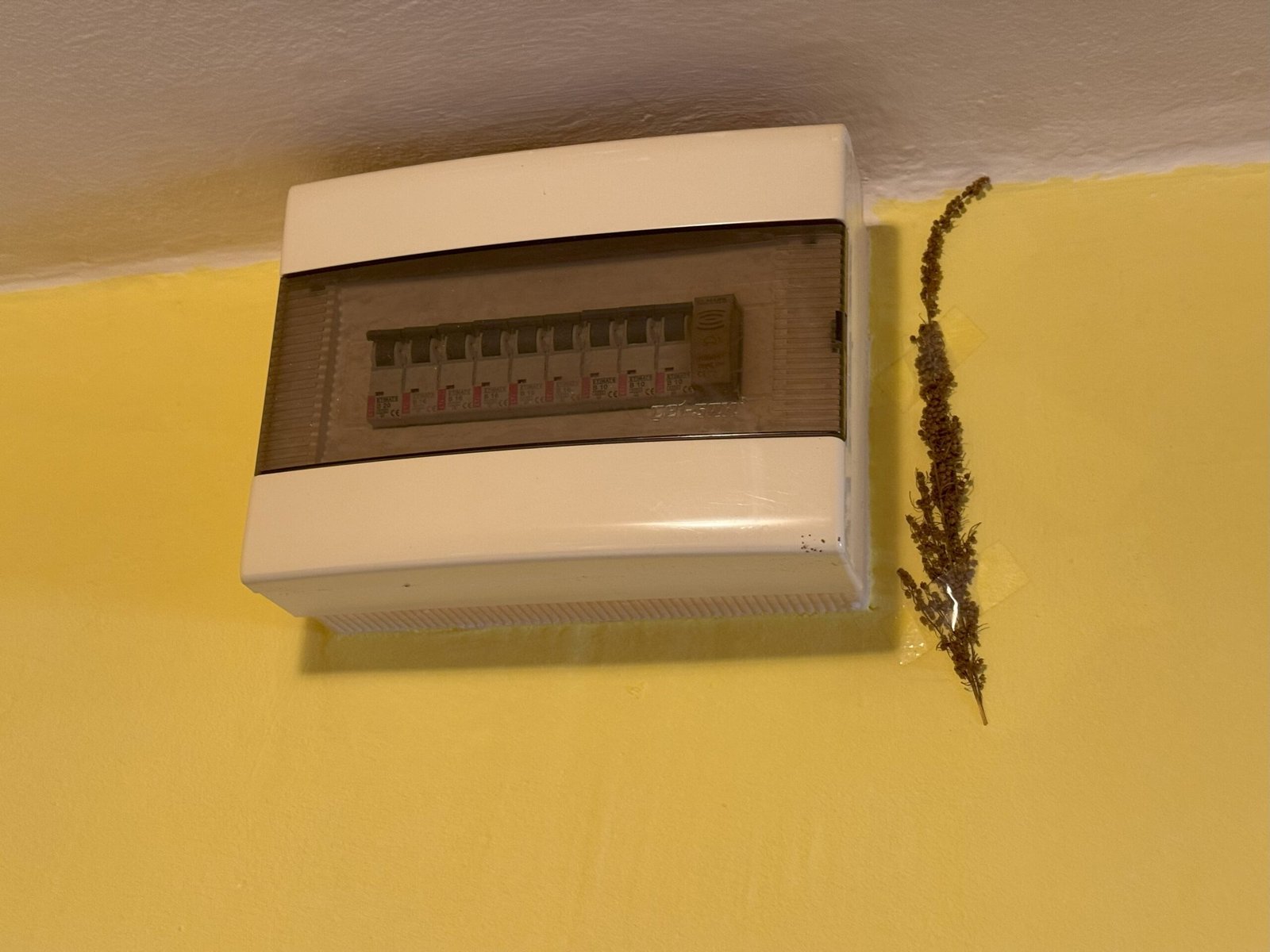 2025_07_30_17_21_IMG_5556-min