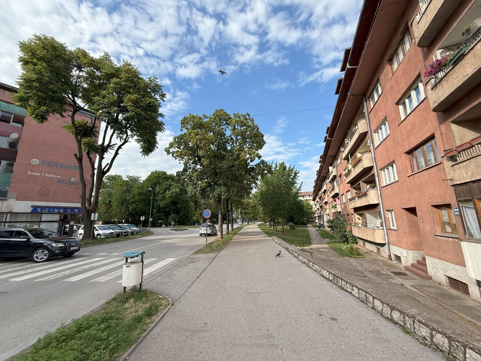 2025_07_30_17_33_IMG_5571-min