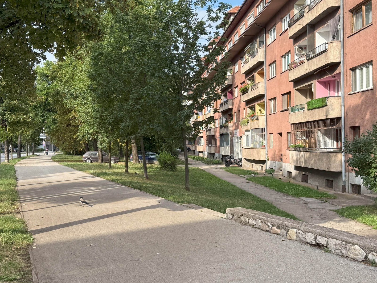 2025_07_30_17_33_IMG_5574-min