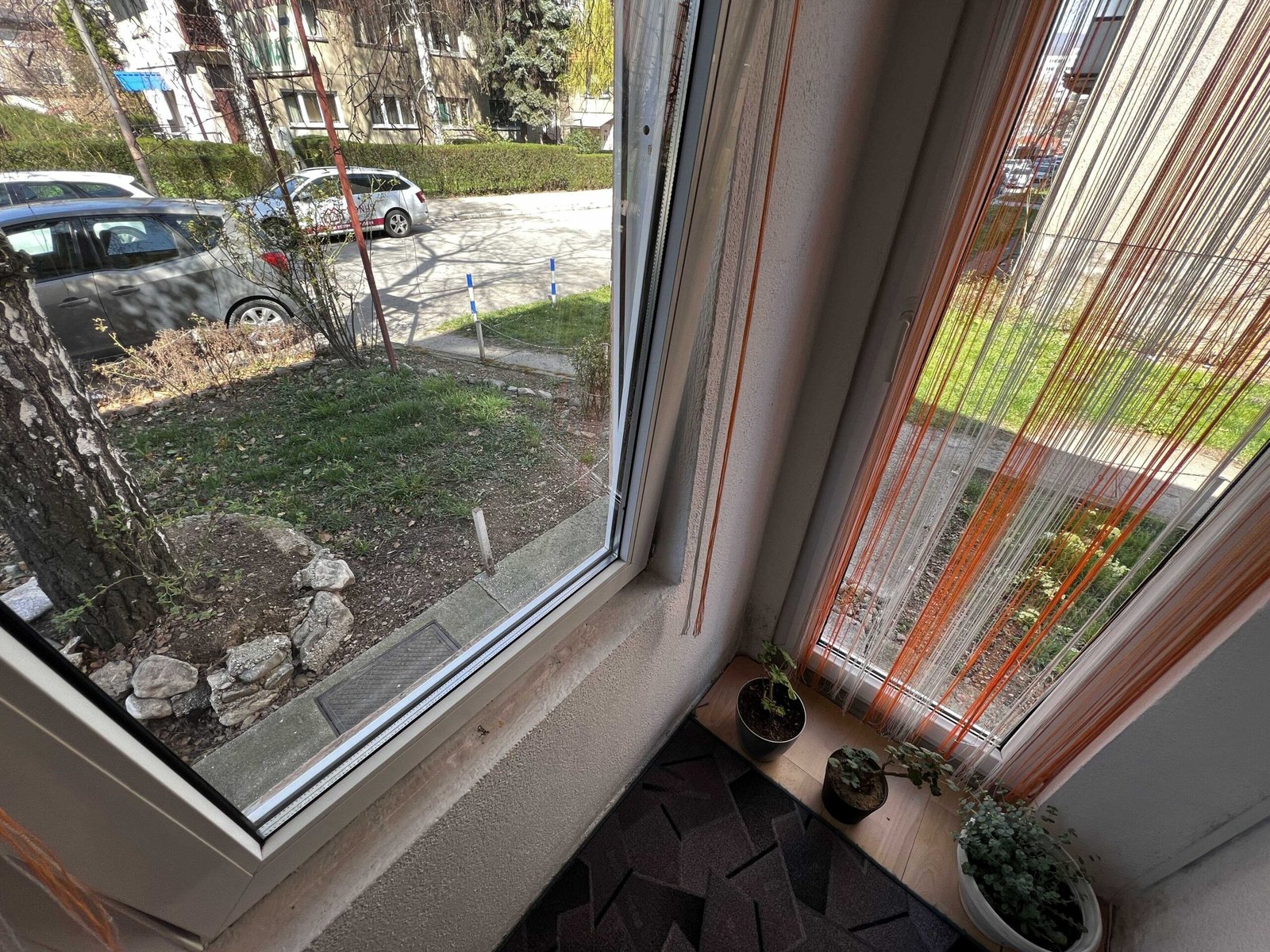 2023_03_24_11_07_img_0563_optimized