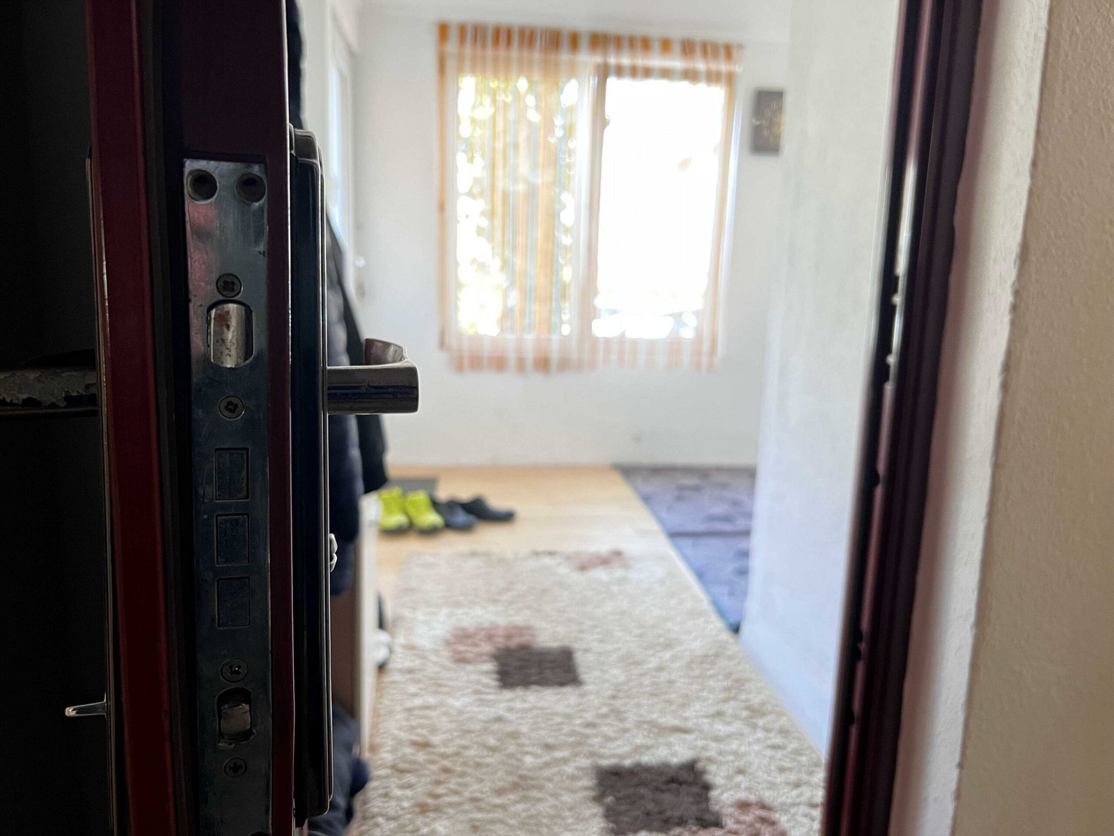 2023_03_24_11_10_img_0572_optimized