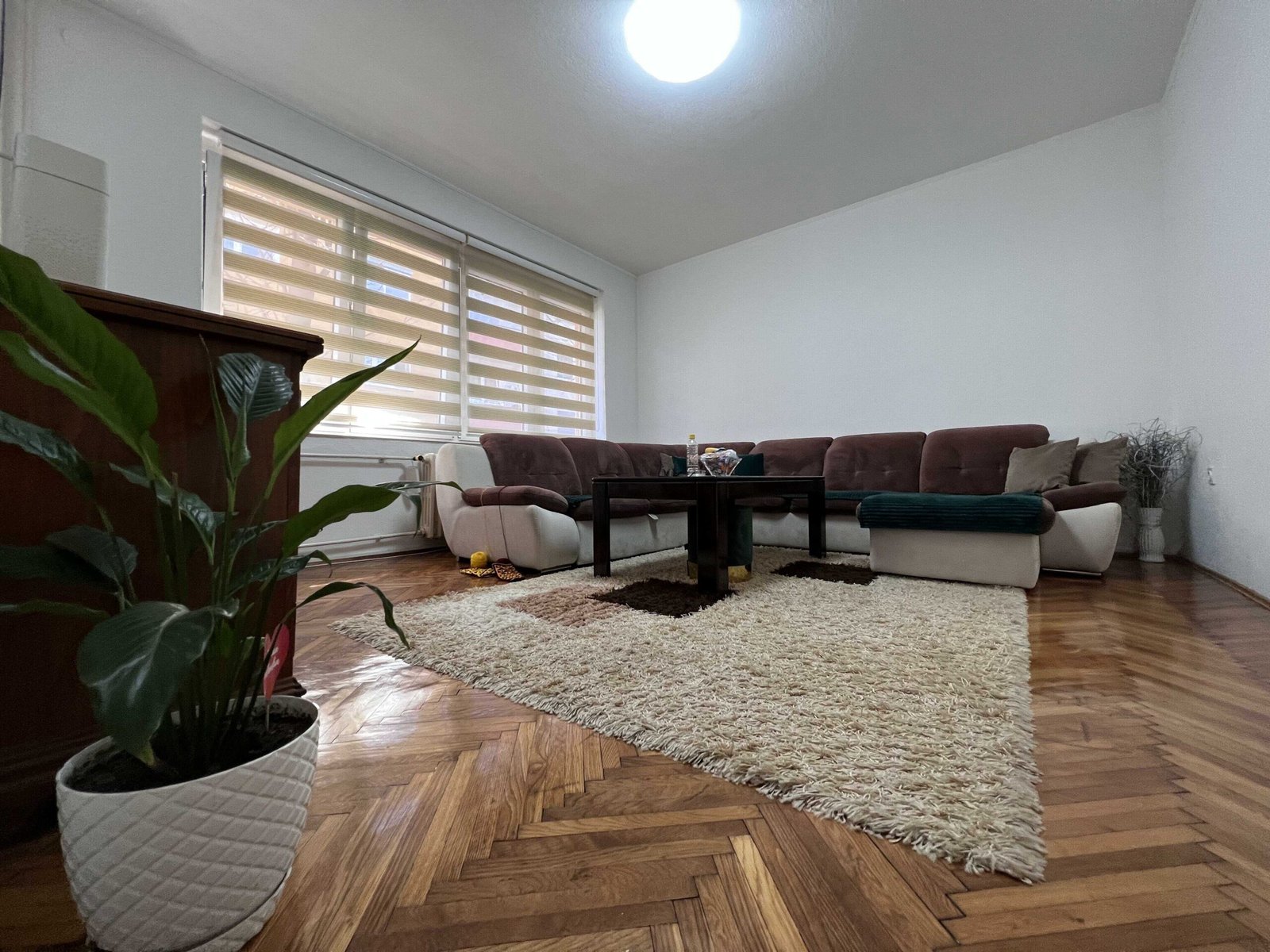 2023_03_24_11_14_img_0593_optimized