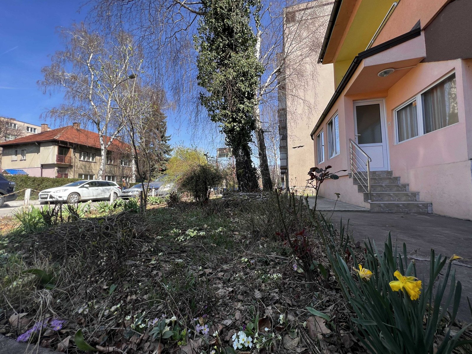 2023_03_24_11_20_img_0604_optimized