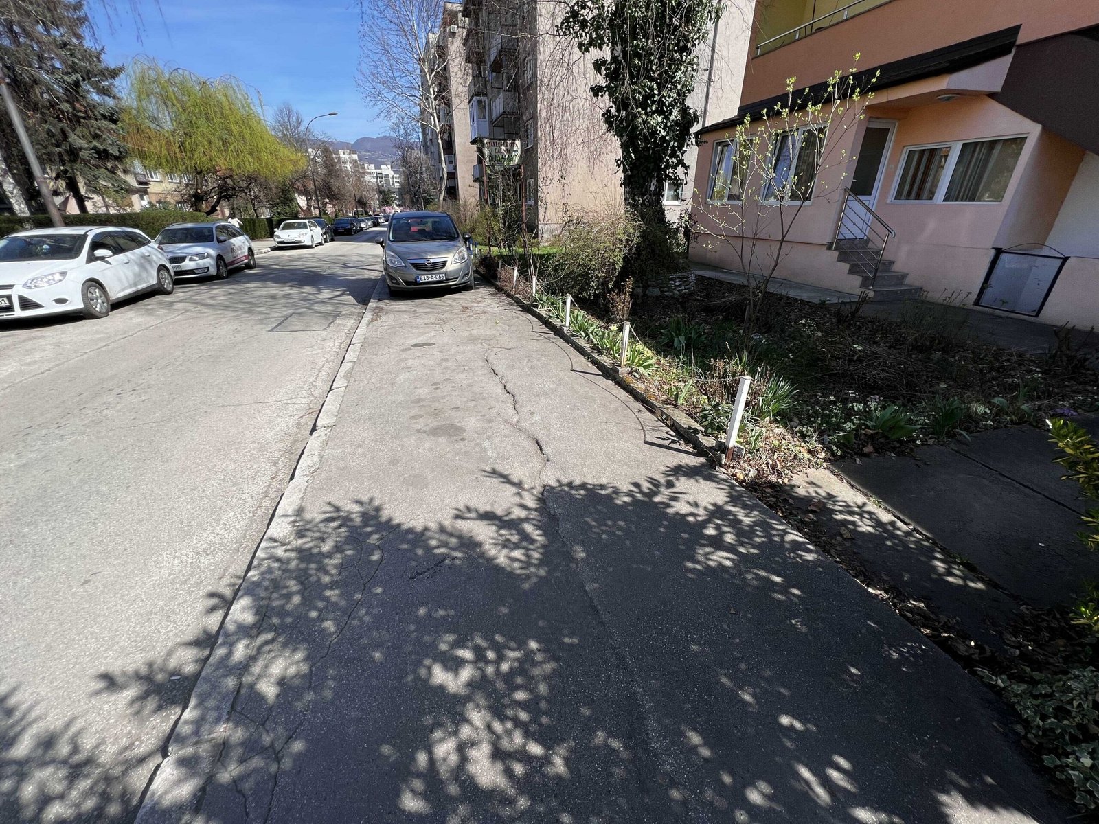 2023_03_24_11_20_img_0605_optimized