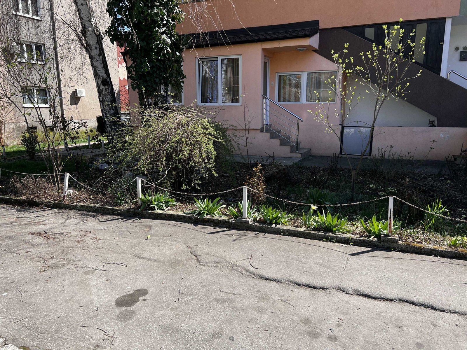 2023_03_24_11_20_img_0606_optimized